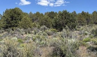Medicine Mountain Drive, Beatty, OR 97621