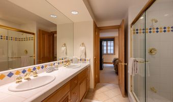 316 W End St, Aspen, CO 81611