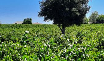 0000 Phillips Ln, Antioch, CA 94509