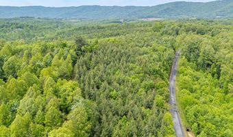 Ahart Ridge Rd lot 58 60 61, Ararat, VA 24053