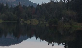 E Cf Delta Shr, Clark Fork, ID 83811
