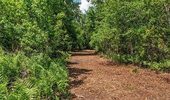 4814 NW 244 Ave, Alachua, FL 32615