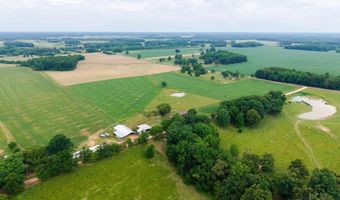 687 COUNTY ROAD 517, Anderson, AL 35610