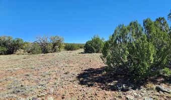 85 N 8522, Concho, AZ 85924