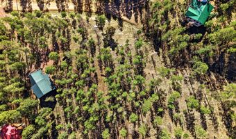 12 W Pergatory Dr, Alpine, AZ 85920