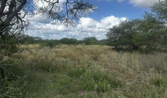 County Road 119, Alice, TX 78332