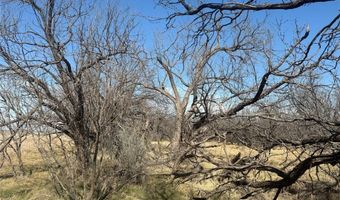 Tbd CR 260, Anson, TX 79501