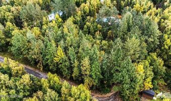 Lot 102 Nw Loc Sault Avenue, Anchorage, AK 99516