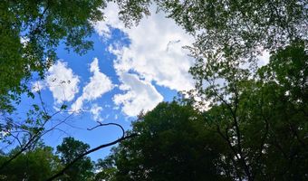 843 Wilson Mill Rd, Bassett, VA 24055