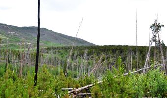 1256 Basking Dog Rd, Bellvue, CO 80512