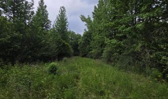 1542 Wellman Dr, Brookhaven, MS 39601