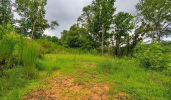 3646 Prospect Church Rd, Apison, TN 37302