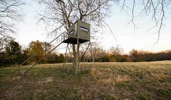 170 Th St, Albia, IA 52531