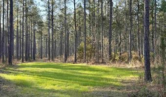 Highway 28, Abbeville, SC 29620