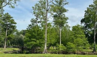 Tbd CORKWOOD LANE, Astatula, FL 34705