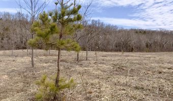 000 County Road U-105A, Ava, MO 65608