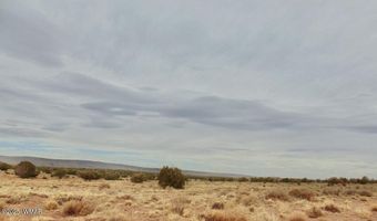 Tbd County Rd 5407 204-50-330A, Concho, AZ 85924