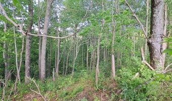 Hudson Mill Road, Albright, WV 26519