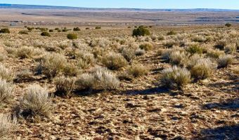 N7009 40 Acres, Chambers, AZ 86502