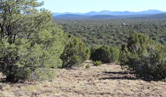 6 County Road 8052, Concho, AZ 85924