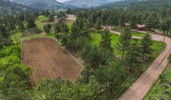 89 Aspen Leaf Ln, Bellvue, CO 80512
