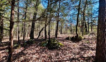 45 N 4450 Rd, Albion, OK 74521
