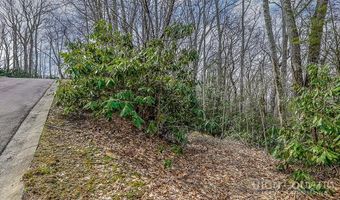 TBD Lot # 46 Woodlily Drive, Banner Elk, NC 28604