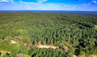 555 Rabbit Pen Dr, Appling, GA 30802