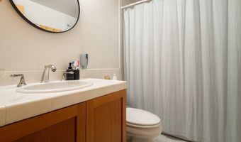 216 E Homestead Dr, Basalt, CO 81621