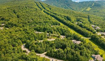 169 Willows Hill Dr #6, Cambridge, VT 05464