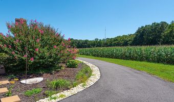 11910 BACK CREEK Rd, Bishopville, MD 21813