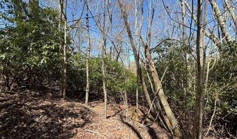 62 Acres Buckeye Ridge Rd, Beech Mountain, NC 28604