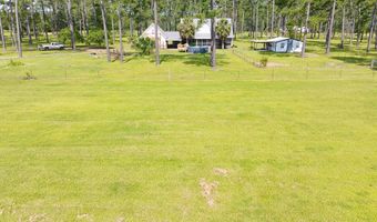 634 Alapaha River Dr, Alapaha, GA 31622