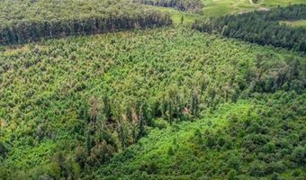 62- Acres Grandmas Hill Rd, Amherst, VA 24521