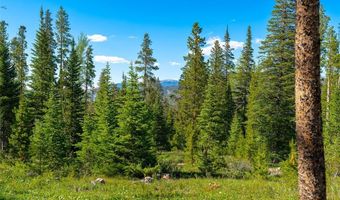123 Westerman Rd, Breckenridge, CO 80424