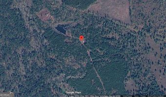 8788 Salter Rd, Bartow, GA 30413
