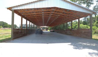 2121 Whitetail Rd, Blackville, SC 29817