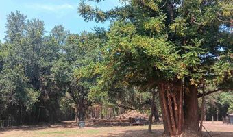 16253 Tolbert Rd, Bay Minette, AL 36507