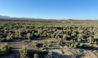 40 Acres Northwest Ryndon, Elko, NV 89801