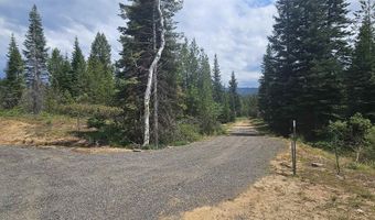 23 Sawtooth Loop, Cascade, ID 83611