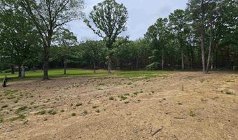 280 Redress Ln, Bee Branch, AR 72013