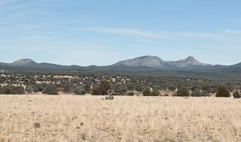 98- C Ten Tanks Rd, Ash Fork, AZ 86320