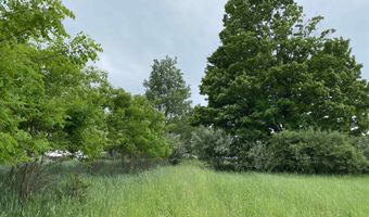 Parcel A Cemetery Road, Alden, MI 49612