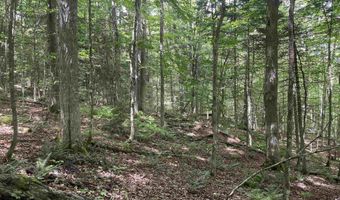 101 Jug Brook Rd, Cabot, VT 05647