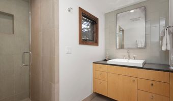 602 W Hallam St, Aspen, CO 81611