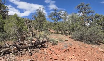 444 445 S Arizona Rd, Ash Fork, AZ 86320