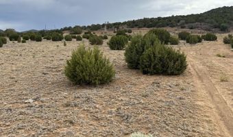 8206 TBD N8206, Concho, AZ 85924