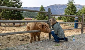 5730 Jackson Creek Rd, Bozeman, MT 59715