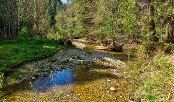 1293 Starveout Creek Rd, Azalea, OR 97410