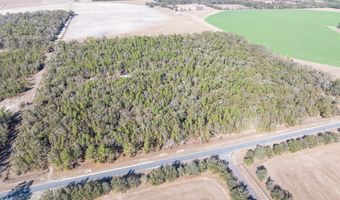 4700 County Road 340, Bell, FL 32619